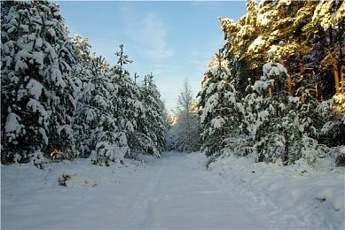 《ALOFT》科隆新演示 沙盒3D动作冒险新游