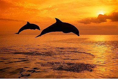 《暗黑血统》新作公布 首个预告片展示焦灼议会